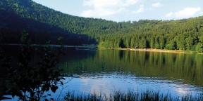 Az én Erdélyem