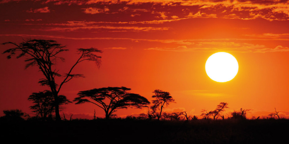 Varázslatos Afrika